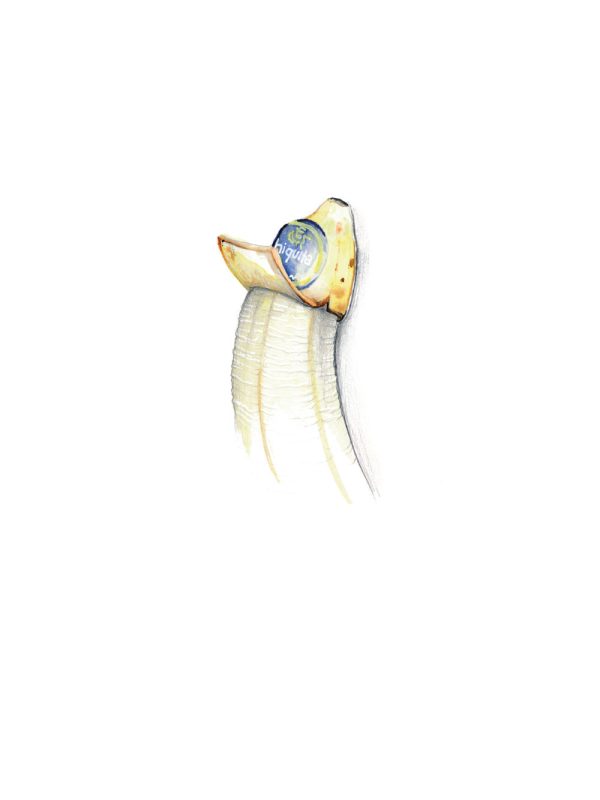Chiquita Mode – Bild 2