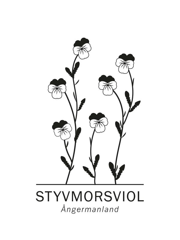 Wild pansy Mode – Bild 2