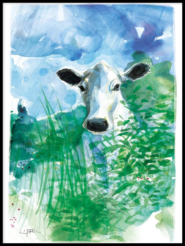 Fjäll Mountain Cattle Online-Verkauf