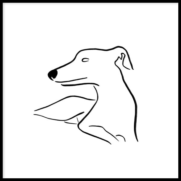 Whippet, One Im Angebot