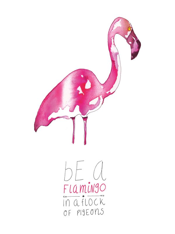 Be a Flamingo Online – Bild 2