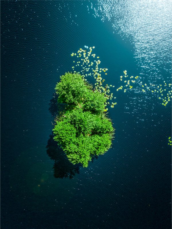 Green Island Online – Bild 2