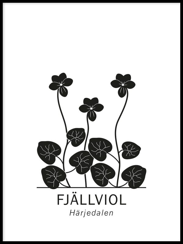 Viola Mode