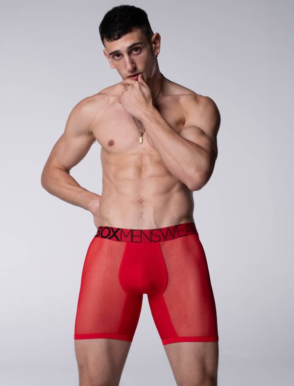 King Fit Mesh Panel - Transparent Crotch: Direct Red Online