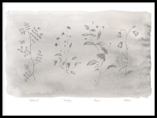 Flora Sand Online