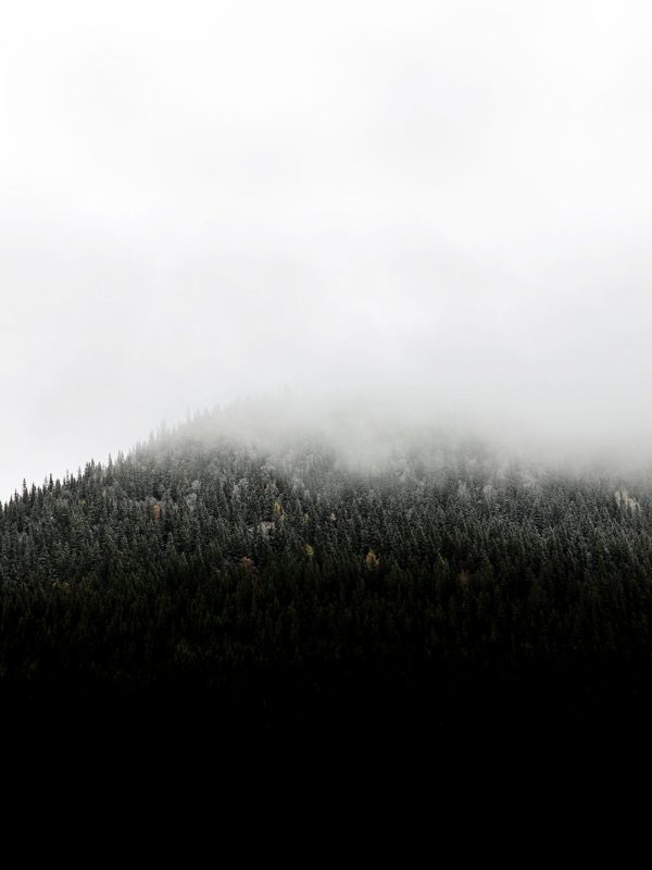 Mountain in fog Angebot – Bild 2