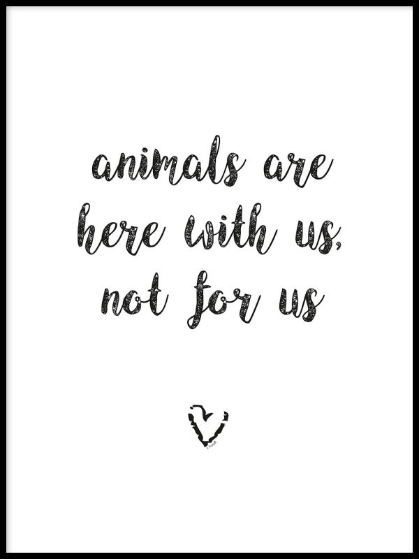 Animals are here with us Jetzt online