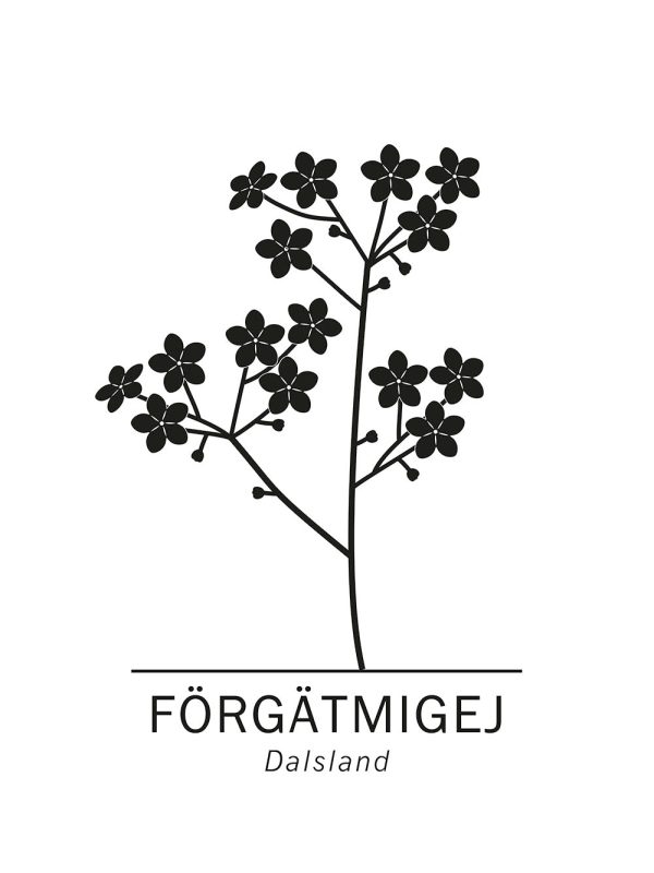 Forget-me-not Online-Schn?ppchen – Bild 2