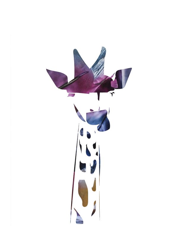 Giraffe, night Im Angebot – Bild 2