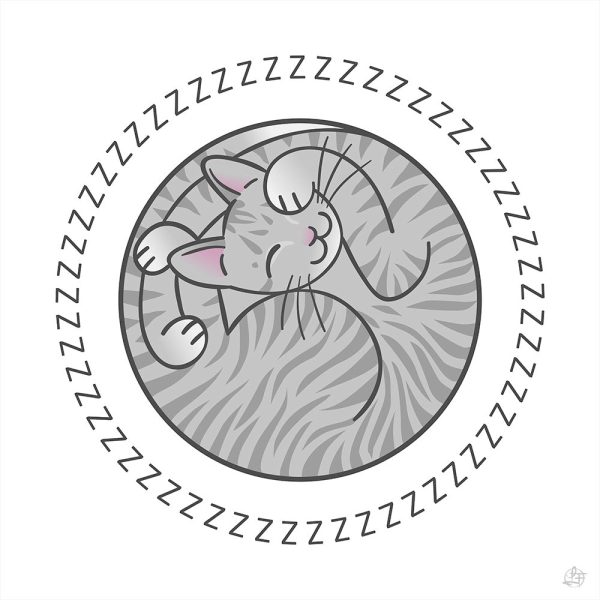 Cat snoring Verkauf – Bild 2