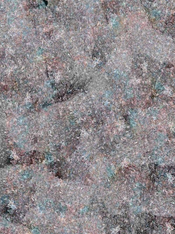 Abstract nature 2 Zu verkaufen – Bild 2