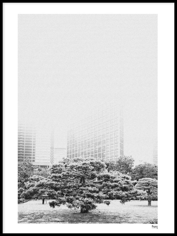 JAPAN - Cityforest Online