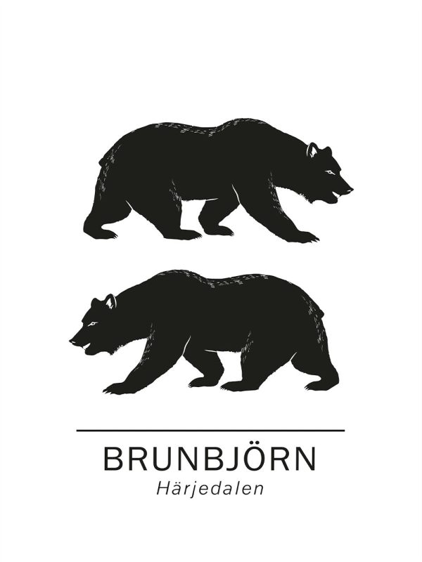 Brown bear the official animals of Härjedalen, Sweden. Zu verkaufen – Bild 2